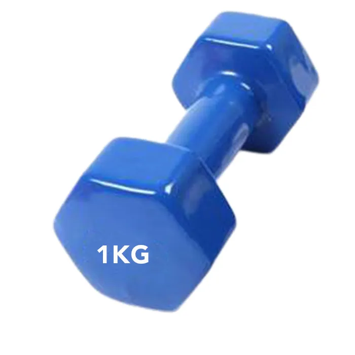 1 Piece Vinyl Dumbbell Blue