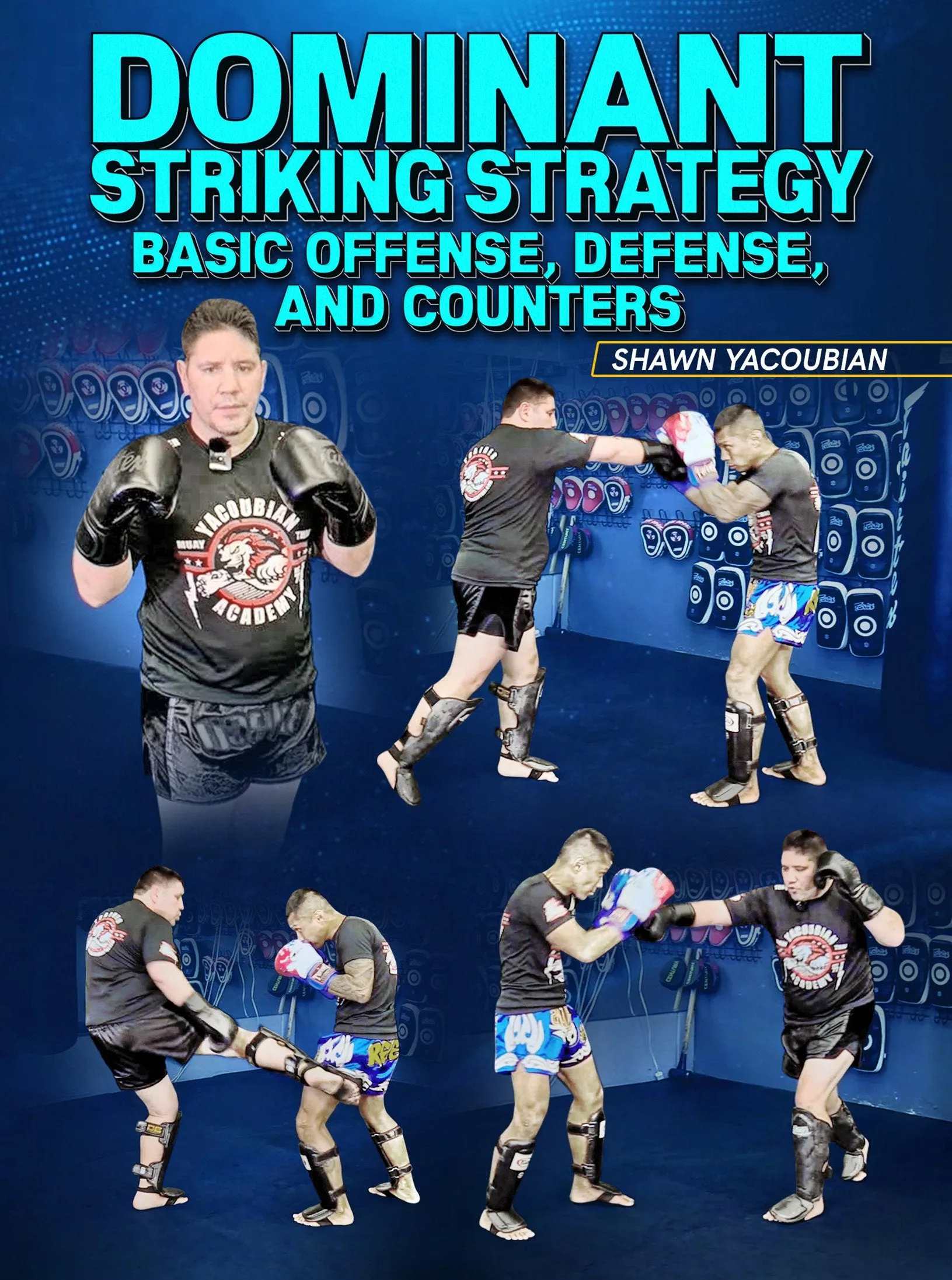 Dominant Striking Strategy by Shawn Yacoubian