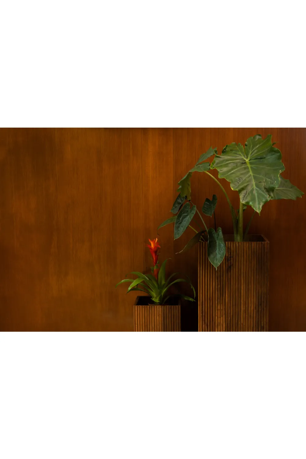 Mango Wood Plant Stand Set (2) | Dutchbone Ribble