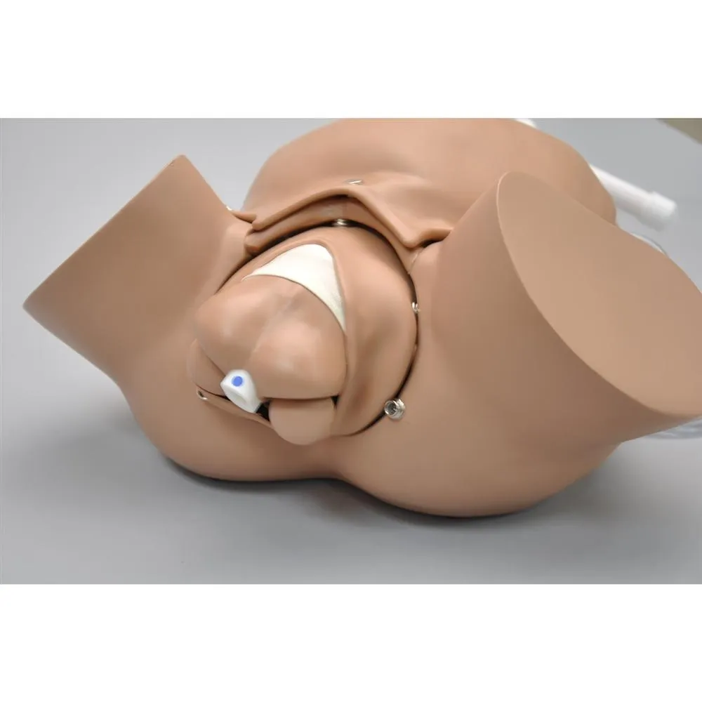 OB Susie® -  Advanced Childbirth Skills Trainer Torso, Medium