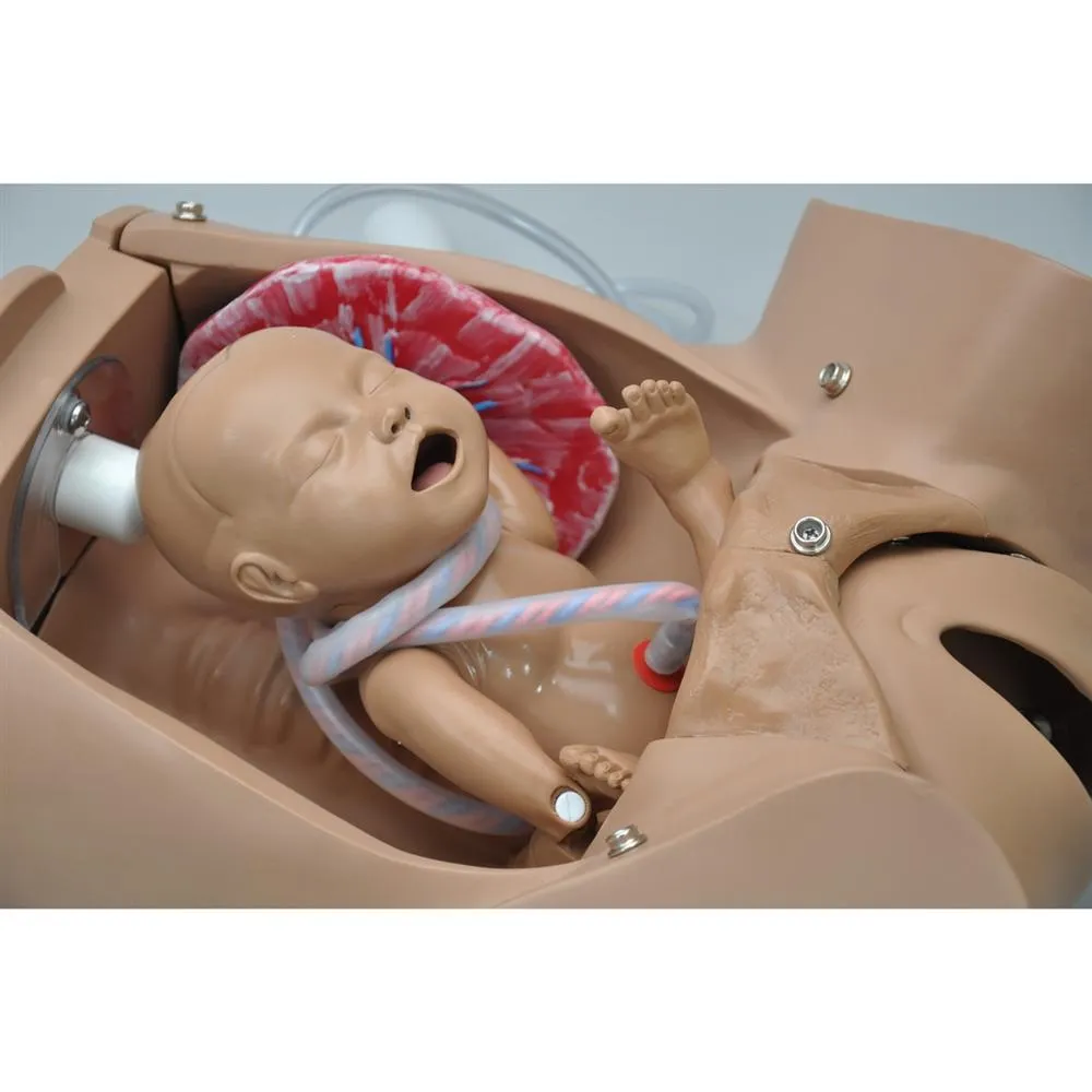 OB Susie® -  Advanced Childbirth Skills Trainer Torso, Medium