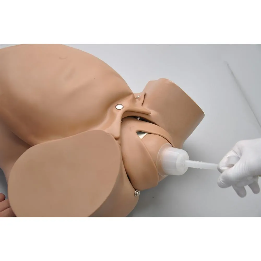 OB Susie® -  Advanced Childbirth Skills Trainer Torso, Medium